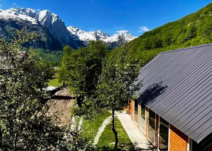B&B Lazer Cardaku